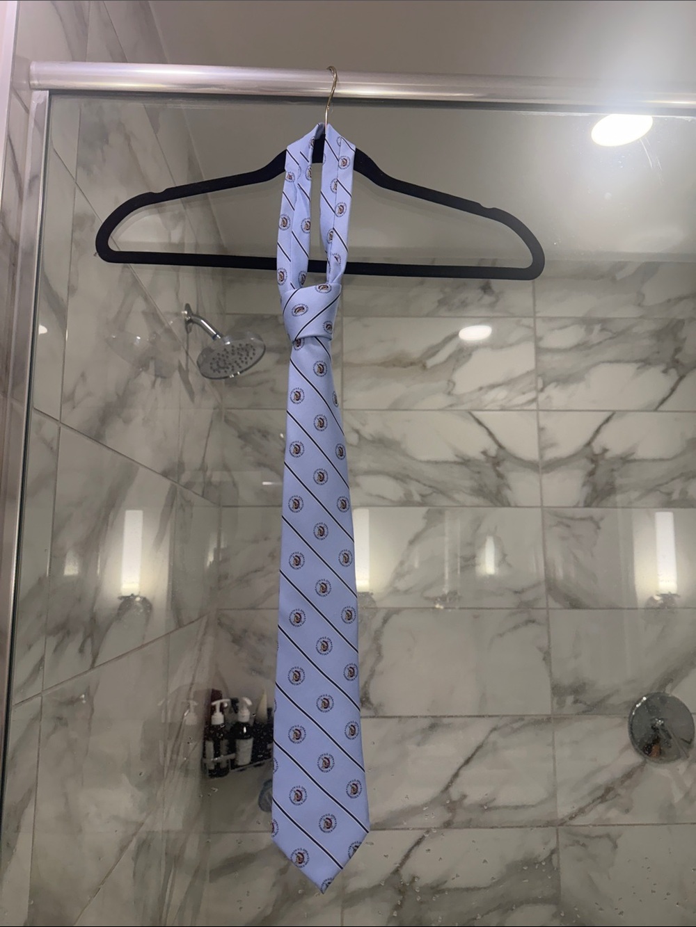 Light Blue Striped Tie with Crest Motif